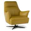 Natuzzi Editions Calma C056 Swivel Chair