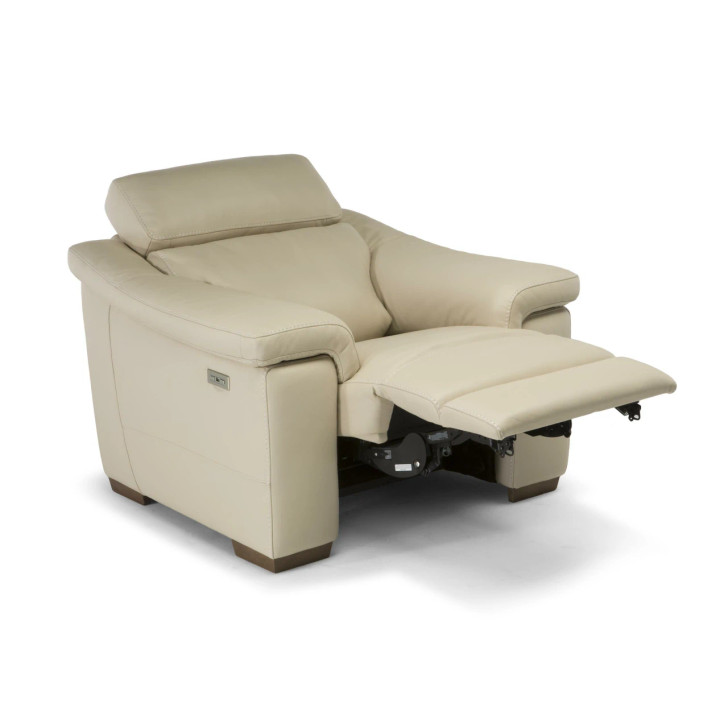 Natuzzi Edition C115 Giulivo 454 Power Reclining Chair