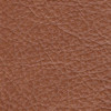 Inventory Leather Color