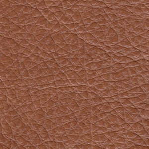 Inventory Leather Color